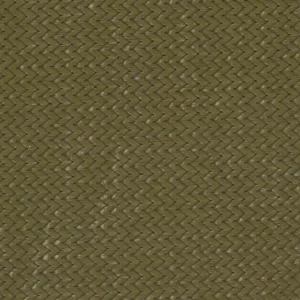 Eucalyptus Z16