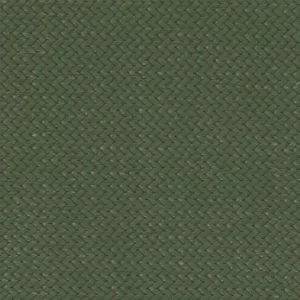 Olive Z16