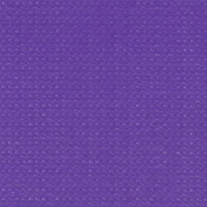 Purple Z16